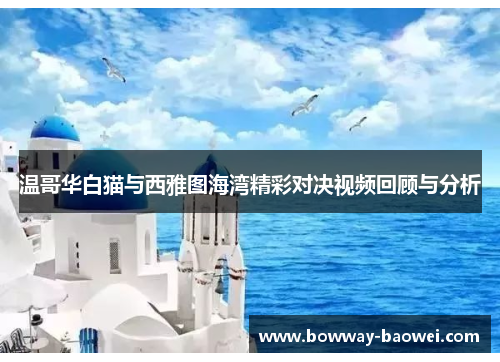 温哥华白猫与西雅图海湾精彩对决视频回顾与分析
